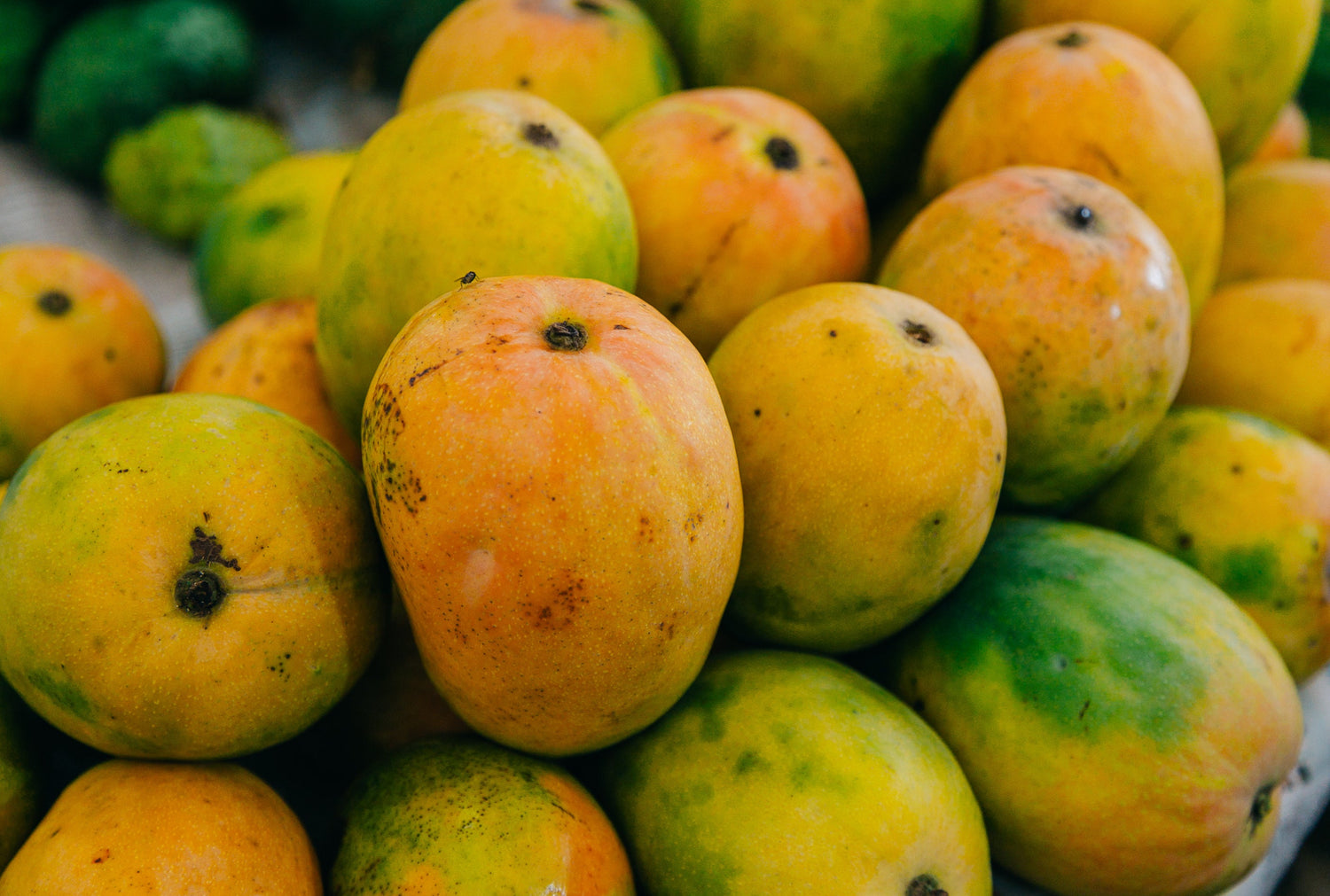 マンゴースイーツ